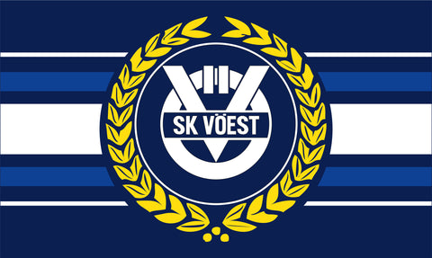 NEUE Fahne "Sk Voest"